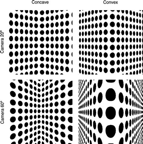 Example images of a concave and a convex surface that were rendered... | Download Scientific Diagram