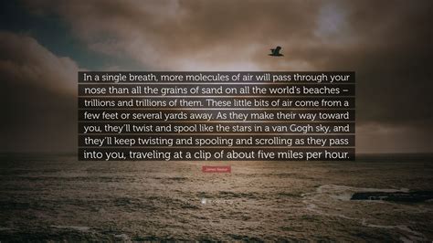 James Nestor Quote: “In a single breath, more molecules of air will pass through your nose than ...