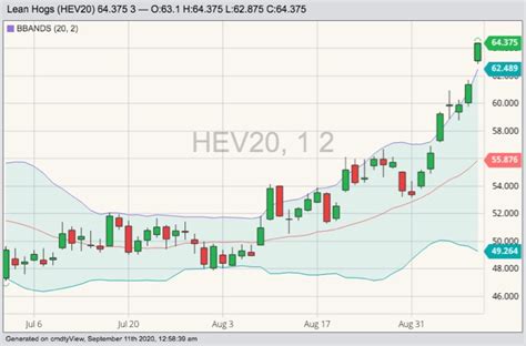 U.S. livestock: Hog futures limit up on pork export optimism - AGCanada - AGCanada