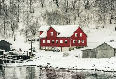 Premium Photo | Norwegian fjords in winter