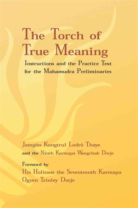 Buy Torch of True Meaning by Jamgon Kongtrul Lodro Thaye With Free Delivery | wordery.com