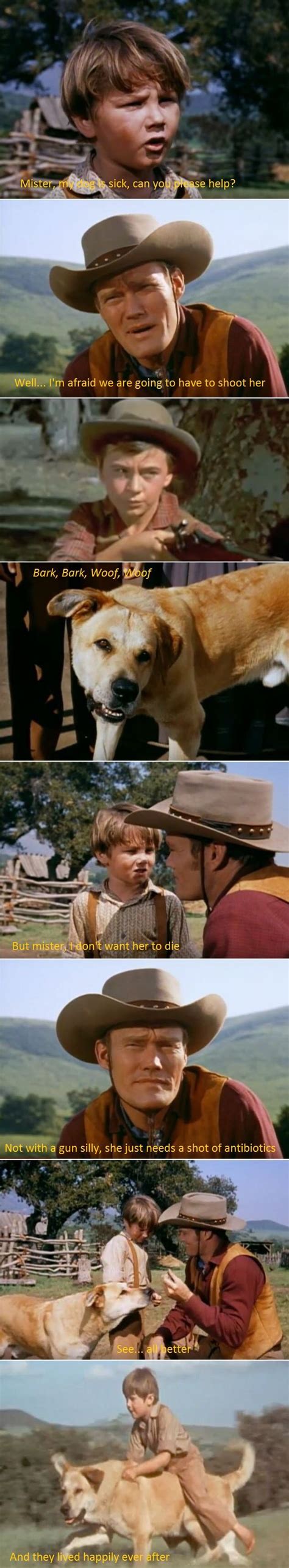 Alternate Old Yeller ending found on Reddit. Much better IMO | Old ...