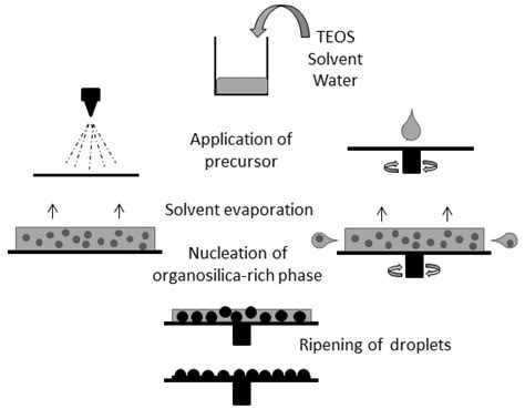 Schematic illustration of used coating processes and formation of... | Download Scientific Diagram