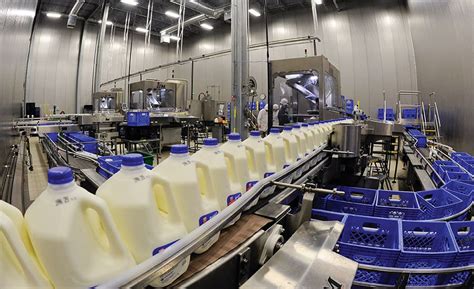 Dairy Factories