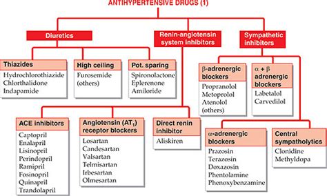 Antihypertensive Drugs Classification Mechanism PDF, 56% OFF