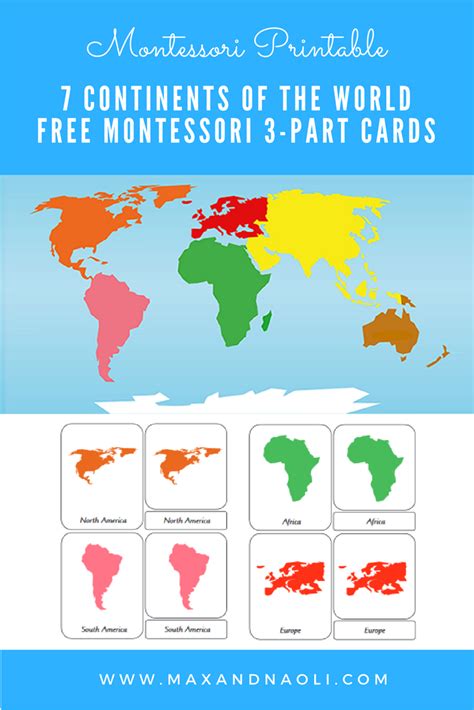 Free Montessori Printables Web Discover The Fascinating World Of Birds ...