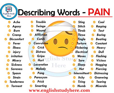 Describing Words - PAIN - English Study Here