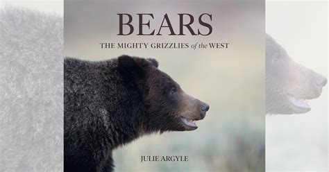 ‘Bears’ Book Review