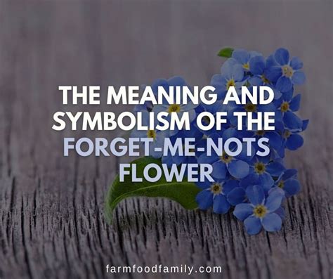 The Meaning and Symbolism of the Forget-Me-Nots Flower