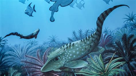 Ancient mass extinction may have shrunk Earth's creatures | Science | AAAS