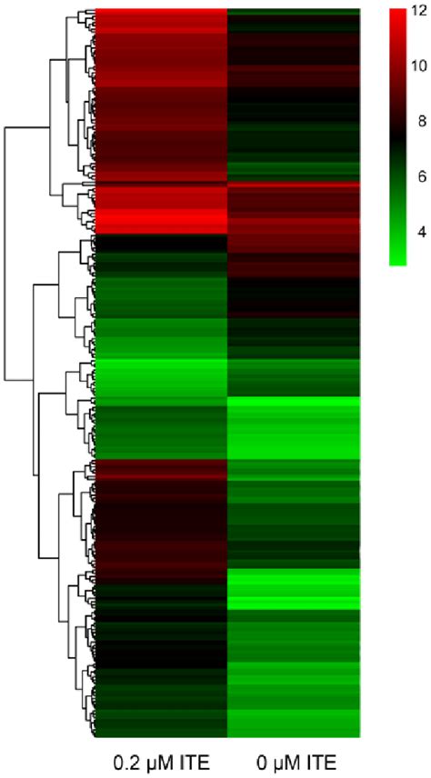 Heatmap for DNA microarray data on monolayer C3A cells treated with and ...