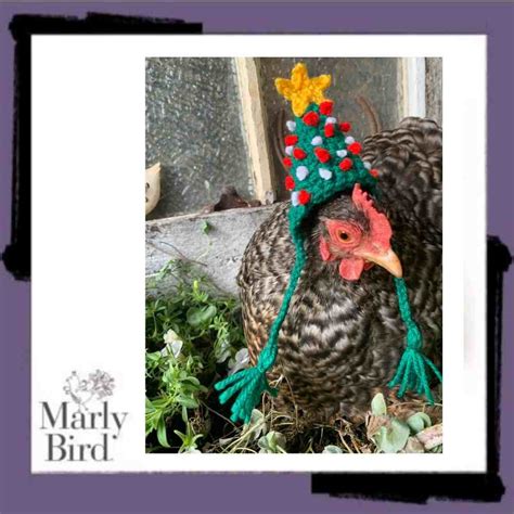 Crochet Chicken Hat Takes World By Storm | Marly Bird