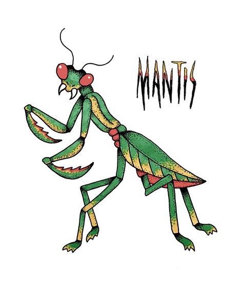 Mantis : drawing