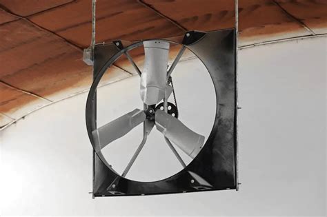 Best Wall-Mounted Barn Fans: Climate Control Fan for Barns