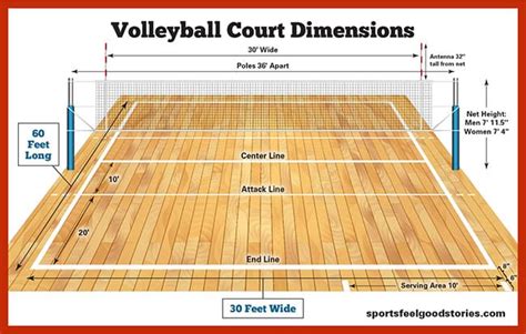 Beach Volleyball Court Dimensions