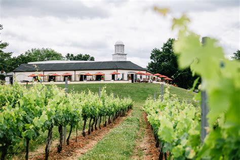 Virginia Sips & Bites: Barboursville Vineyards, Virginia – Travels With Nano