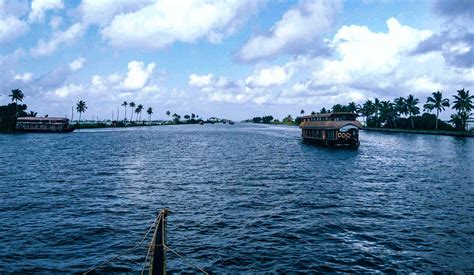 KERALA BACKWATERS | Kerala backwaters, Kerala, Canals