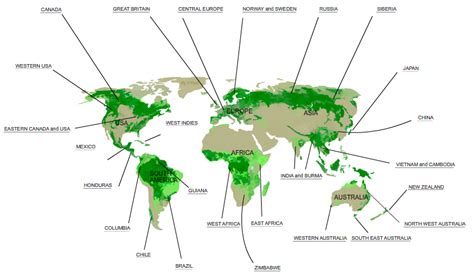 WORLD MAP - DISTRIBUTION OF NATURAL WOODS