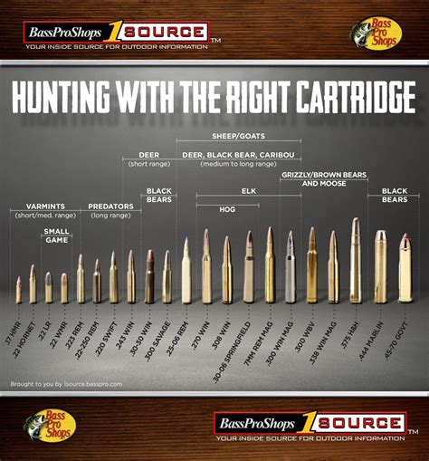 What cartridge will you be opening the Deer season with in 2020 🧐 for me I haven’t got a kill on ...