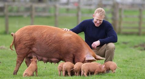 The Cotswold Farm Park ~ Adam Henson Family Days Out, Down On The Farm, Cheltenham, Holiday ...