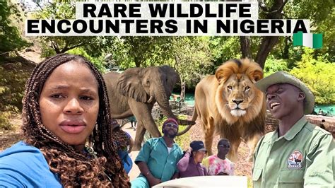 Nigeria’s Wildlife Safari you Must see before you go… - YouTube