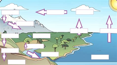 Water Cycle Labelling 2 Diagram | Quizlet