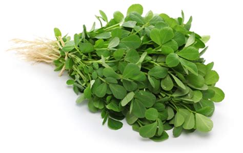 Fenugreek Facts, Health Benefits and Nutritional value