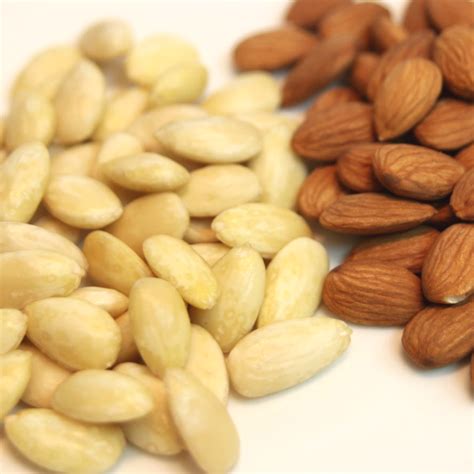 Shelled Almonds – Varsha Industries