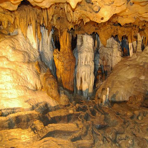 Florida Caverns State Park in Marianna, FL (7 Photos)