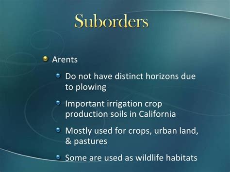 Entisols Presentation