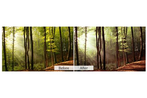 90 Nature Photoshop Actions By Cilo Creative | TheHungryJPEG