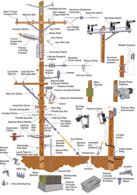 Distribution System Components | Home electrical wiring, Electrical wiring, Electrical projects