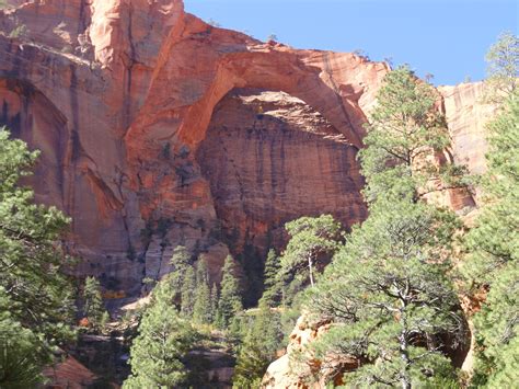 Hinton Happenings: Kolob Arch Hike