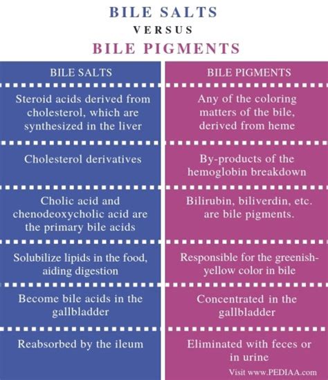 What is the Difference Between Bile Salts and Bile Pigments - Pediaa.Com