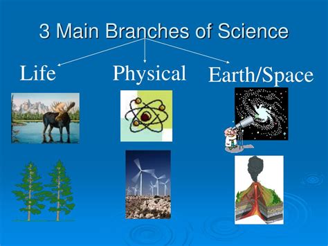 PPT - The Branches of Science PowerPoint Presentation, free download - ID:1061318