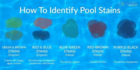 Pool Stain Removal 101 | A Quick Guide To Removing Pool Stains