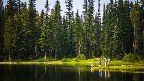 Top 3 Hiking Trails With Wildflowers at Crystal Mountain - Crystal Mountain