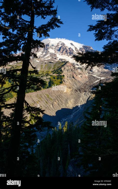 Mount Rainier National Park Stock Photo - Alamy