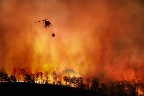 Incêndios florestais: A realidade sobre o fogo que consome o Brasil • Revista Campo & Negócios