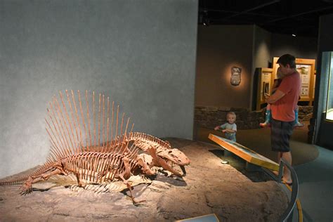 Things to Do at the Denver Museum of Nature & Science - Create. Play. Travel.