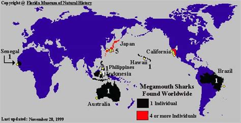 Megamouth Shark Habitat