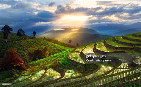 Mountain Rice Field At Chiang Mai Thailand High-Res Stock Photo - Getty Images