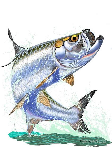 Tarpon Digital Digital Art by Carey Chen | Fish art, Fish drawings, Underwater art