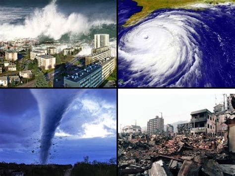 The 6 Phases Of Disaster | Gene Veith