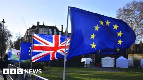 Brexit deal vote: What do I need to know? - BBC News