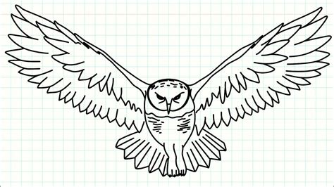 How to Draw an Owl / ( Flying a Bird Drawing ) Easy Drawing Tutorials ...