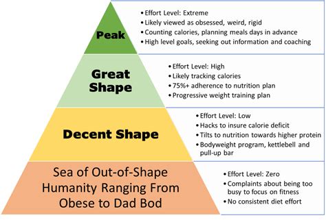 Hierarchy of Fitness | DadLifting Levels and Effort to Achieve