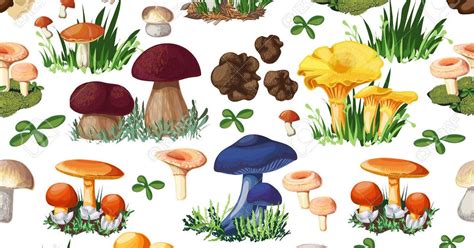 Dibujos Del Reino Fungi Reino Fungi | Images and Photos finder