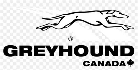 Greyhound Canada Logo Black And White - Line Art, HD Png Download - 2400x1111(#5163700) - PngFind