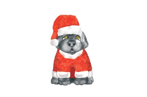 Newfoundland Dog - Christmas Costume, Watercolor SVG Cut file by Creative Fabrica Crafts ...